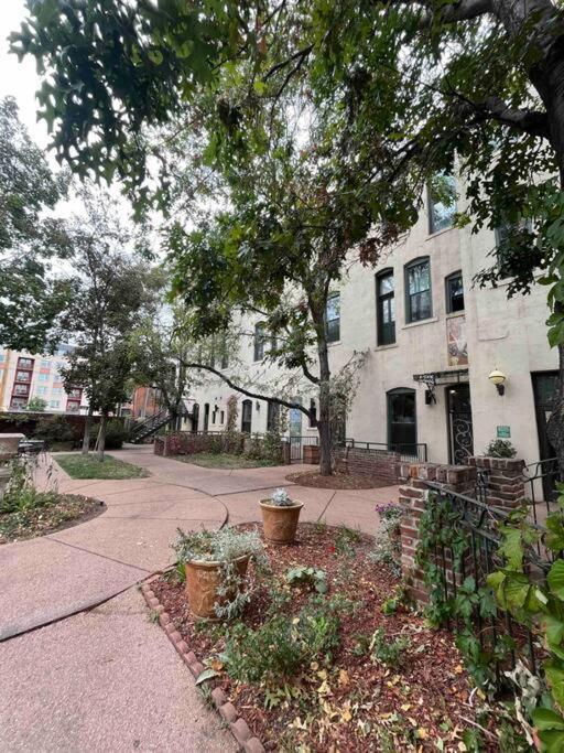 Affordable & Chic Rino/Lodo/Dtown Loft- Walkable Appartement DEN Buitenkant foto
