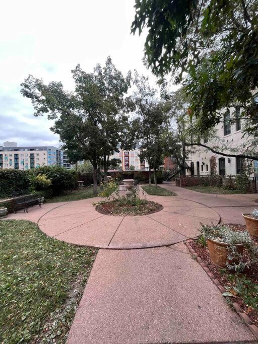 Affordable & Chic Rino/Lodo/Dtown Loft- Walkable Appartement DEN Buitenkant foto